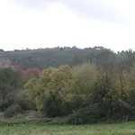 Appart'18 - Domaine De La Source * Uzès