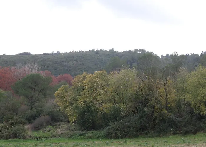 Appart'18 - Domaine De La Source * Uzès